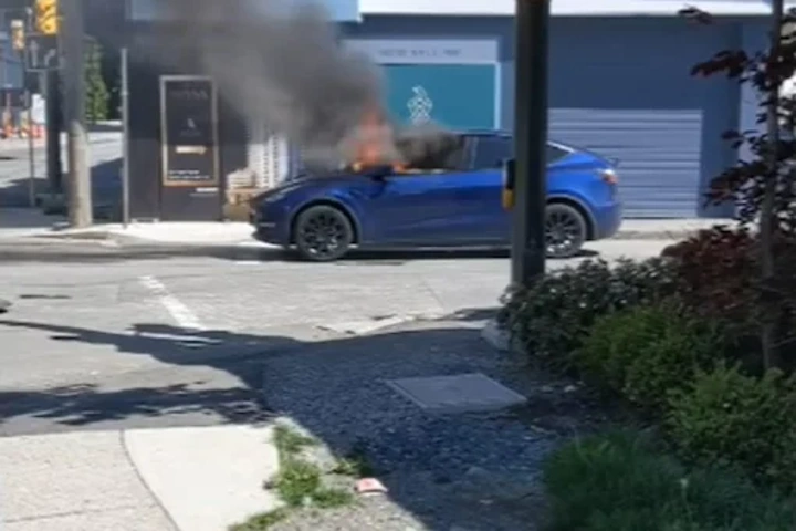 Caught on camera: New Tesla Model Y electric car catches fire, driver smashes window to escape