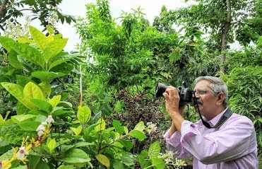 Man creates forest in the middle of Visakhapatnam
