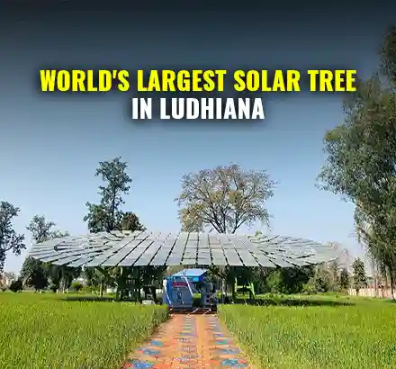 Guinness World Records Largest Solar Tree In Ludhiana, Punjab | Largest Solar Tree In The World