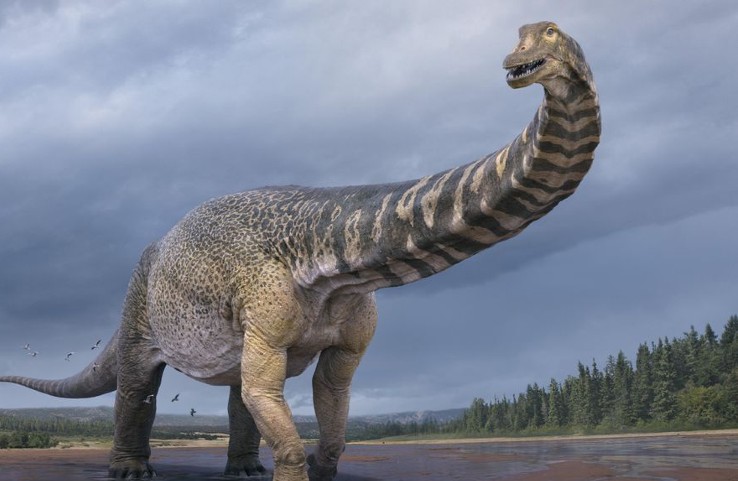 New species of dinosaur — among the largest in the world – discovered in Australia