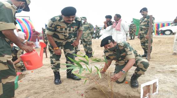 Bamboo plantation drive kicked off to give green cover to Rajasthan desert