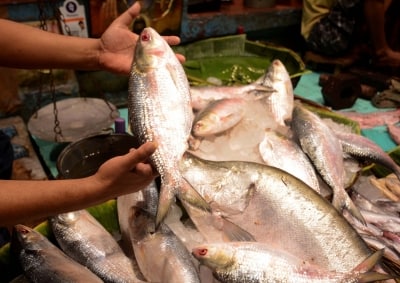 Hilsa on ‘Poila Boishakh’ — an emotion for all Bengalis cutting across the border