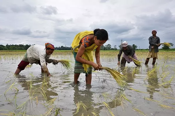 Modi government planning surge in big fertiliser plants to achieve second green revolution