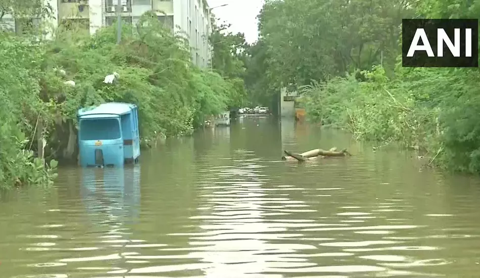 7 killed as torrential rains trigger flash floods in Gujarat