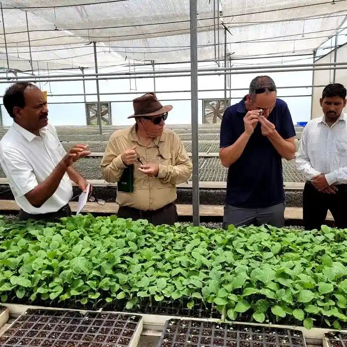 Israeli experts visit India, meet local farmers to boost partnership in agriculture
