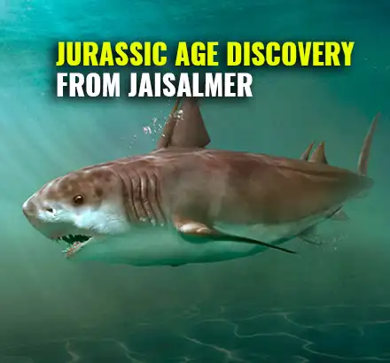 Jurassic Age Hybodont Shark Teeth Discovered In Jaisalmer, Rajasthan by GSI