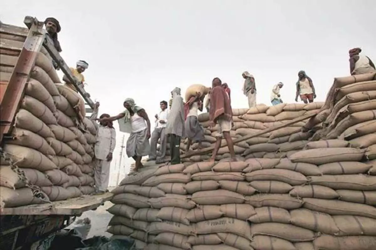 Bengal, Odisha North-east states to gain as govt makes jute bags mandatory for foodgrains