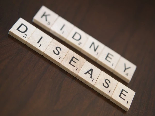 Study suggests kidney retransplantation may offer better survival than dialysis