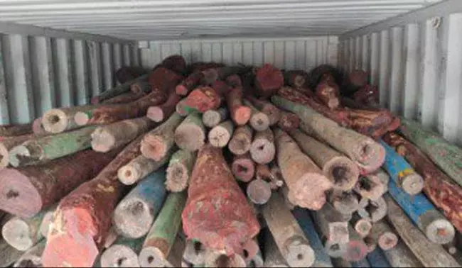 DRI seizes sandalwood worth Rs 12 crore in Ahmedabad being exported as “toiletries”