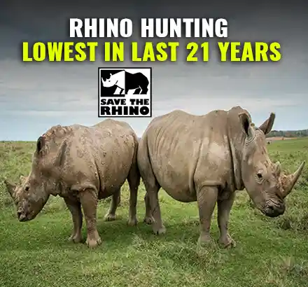 Anti Rhino Poaching | Rhino Poaching Lowest In Last 21 Years | Kaziranga National Park Assam