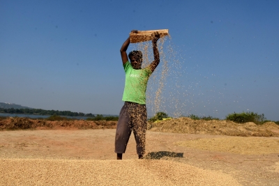 India could see another bumper crop despite Covid 19