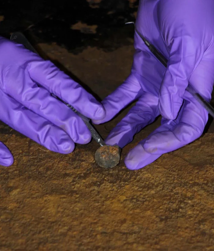 Victorian era coin found under the mast of most famous British ship