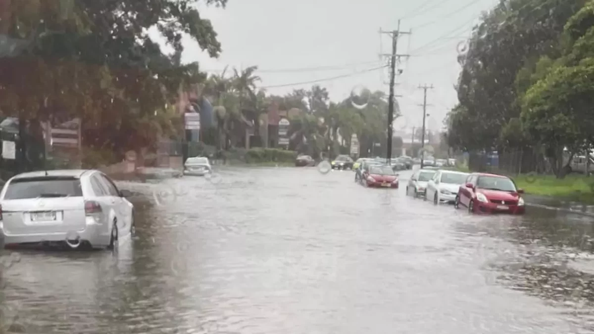 Sydney gets one month’s rain in one night, thousands told to evacuate as roads turn into rivers