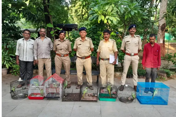 Several animals kept illegally as pets rescued by Gujarat forest officials