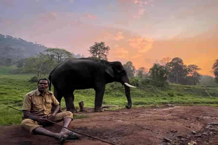 World Elephant Day: Tamil Nadu’s Malasar tribesmen honoured with first Gaj Gaurav Award