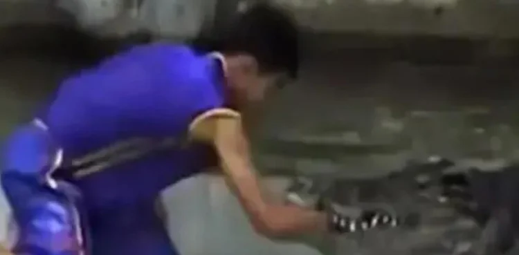 Video: Crocodile mauls young man’s arm as reckless stunt backfires