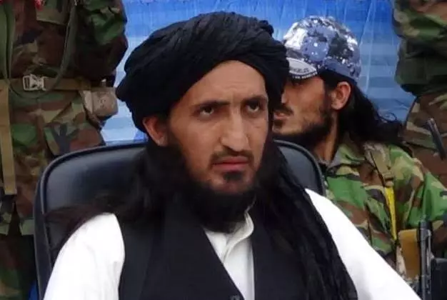 After Ayman Al Zawahiri, did Pakistan and the US work together to kill TTP leader Khorasani?