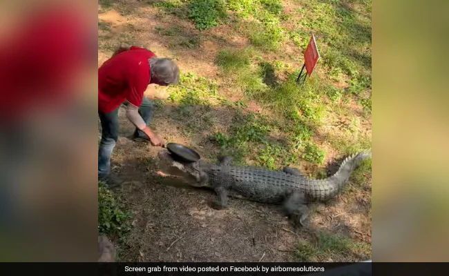 WATCH: Fearless man fights off ferocious crocodile with a frying pan