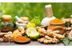 AIIMS study shows CSIR’s Ayurvedic drug is effective against diabetes and obesity too