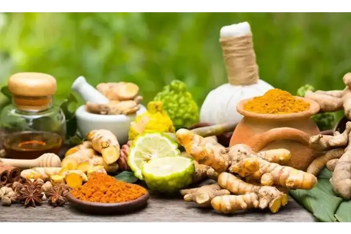 AIIMS study shows CSIR’s Ayurvedic drug is effective against diabetes and obesity too