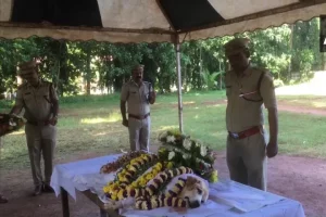Karnataka Police’s star sniffer dog, Geetha cremated with full State honours