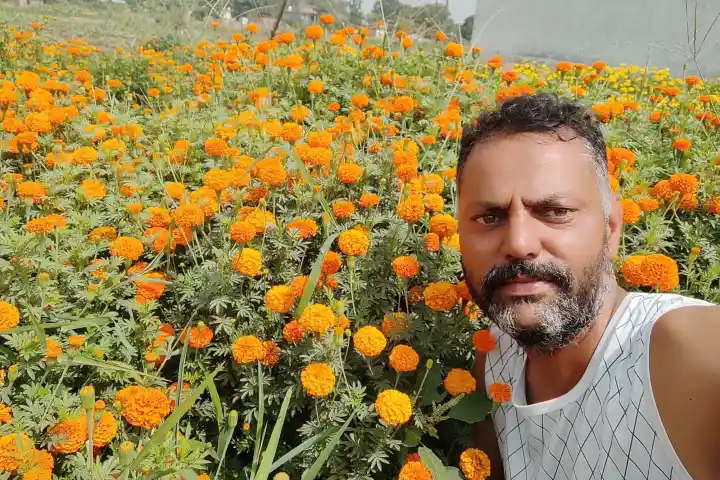 Marigold revolution and e-commerce put Himachal's Chamba farmers on path to  prosperity