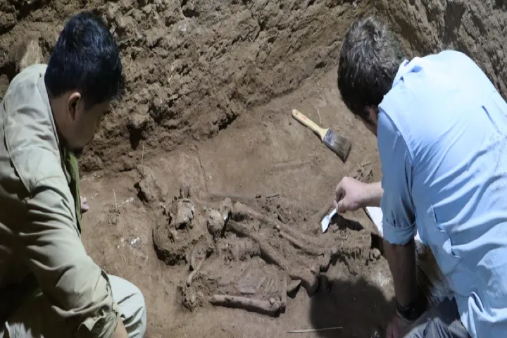 31,000-year-old surgery discovered in Indonesian Borneo