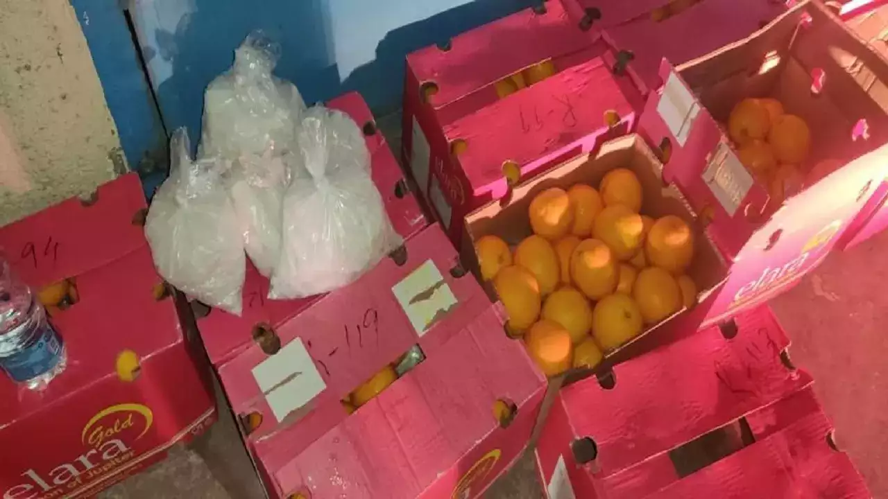 Rs 1,476 crore worth drugs hidden in imported oranges seized in Mumbai