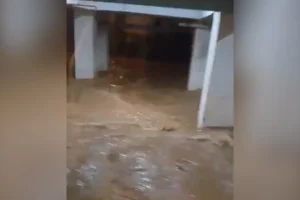 Watch: Strong stream of rainwater gushes into basement of Bengaluru building