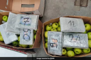 Rs 500 crore worth cocaine seized in Navi Mumbai from Kerala smuggler