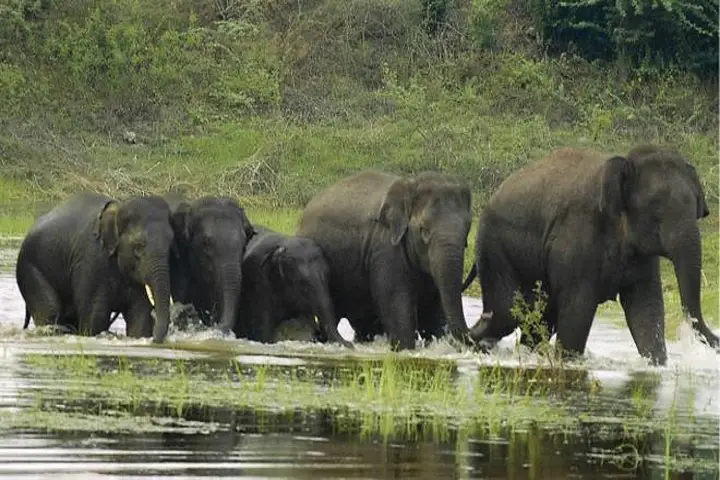 Tamil Nadu notifies new wildlife sanctuary