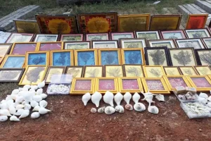 Birds, turtles and rare corals used for black magic seized in Vadodara