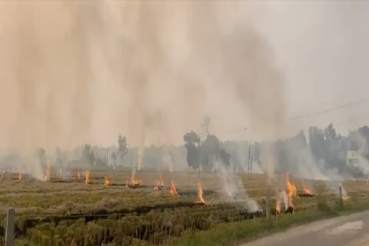 Punjab fails to reduce farm fires as Delhi-NCR air quality plummets