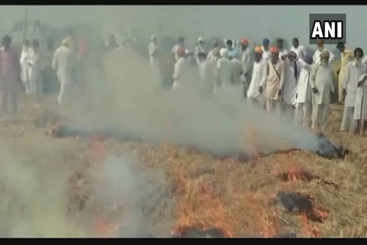 Punjab CM Bhagwant Mann’s home district tops in stubble burning incidents