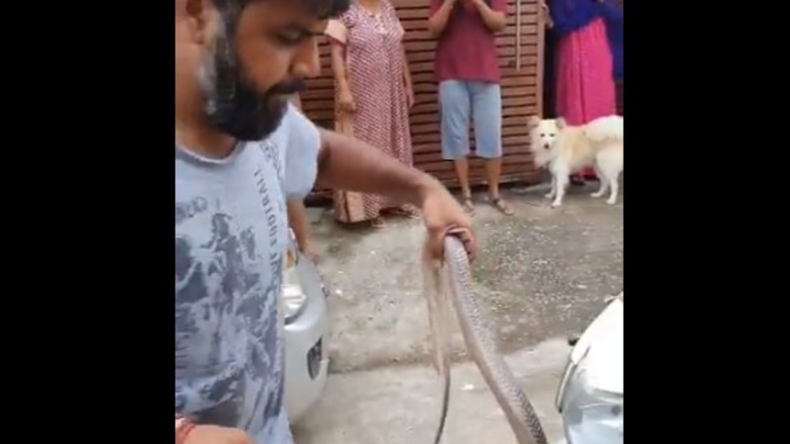 WATCH: Man pulls out deadly Cobra coiled in scooter