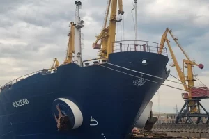 UN pauses movement of vessels under Black Sea Grain Initiative