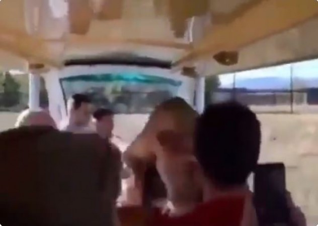 Viral video: Lioness leaps into safari vehicle full of tourists and then…