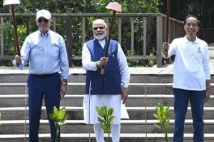 PM Modi plants sapling in Bali as India joins Mangrove Alliance to counter climate change  