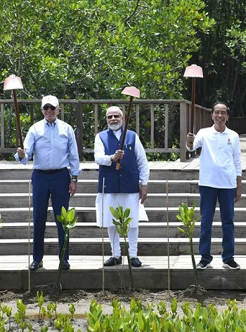 PM Modi plants sapling in Bali as India joins Mangrove Alliance to counter climate change  