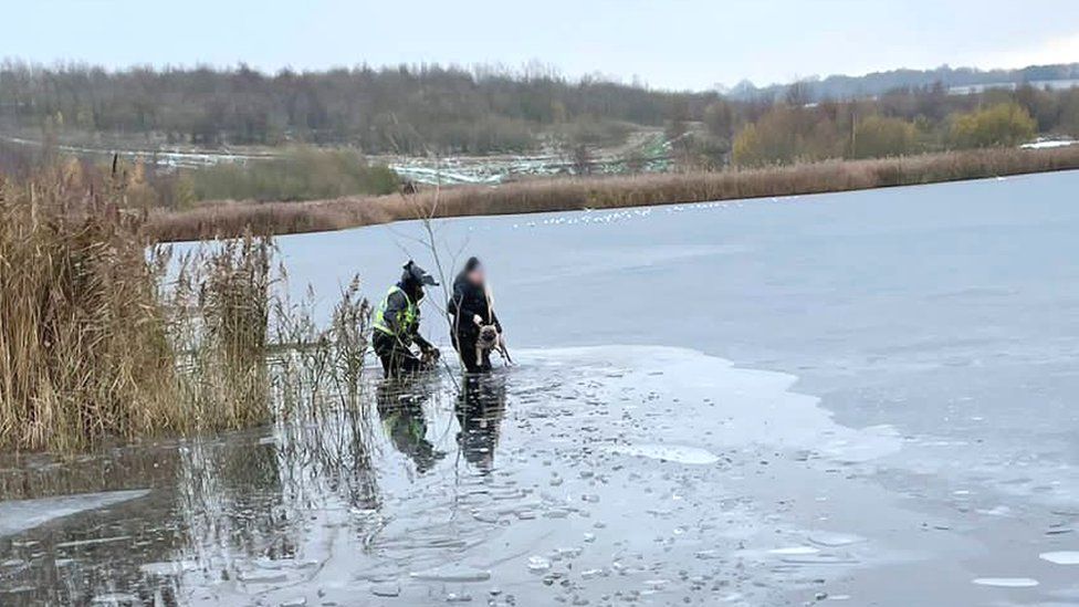 Three Indian-origin Americans drown as ice gives way in frozen US lake