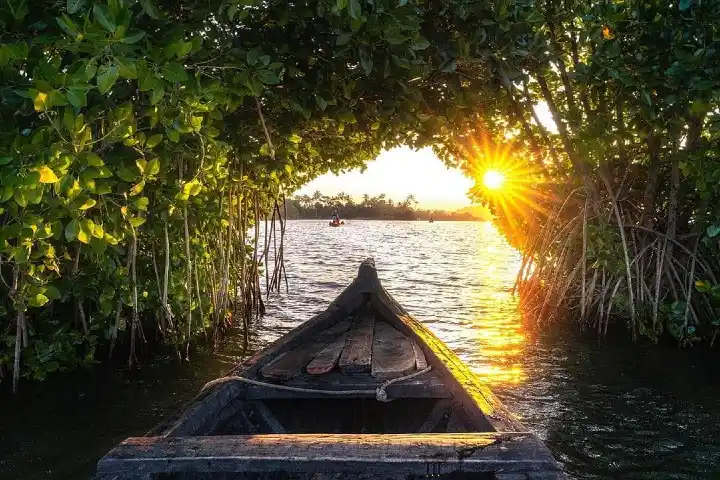 Ashtamudi Lake2