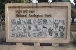 Stray dogs kill 3 rare deer in Delhi Zoo