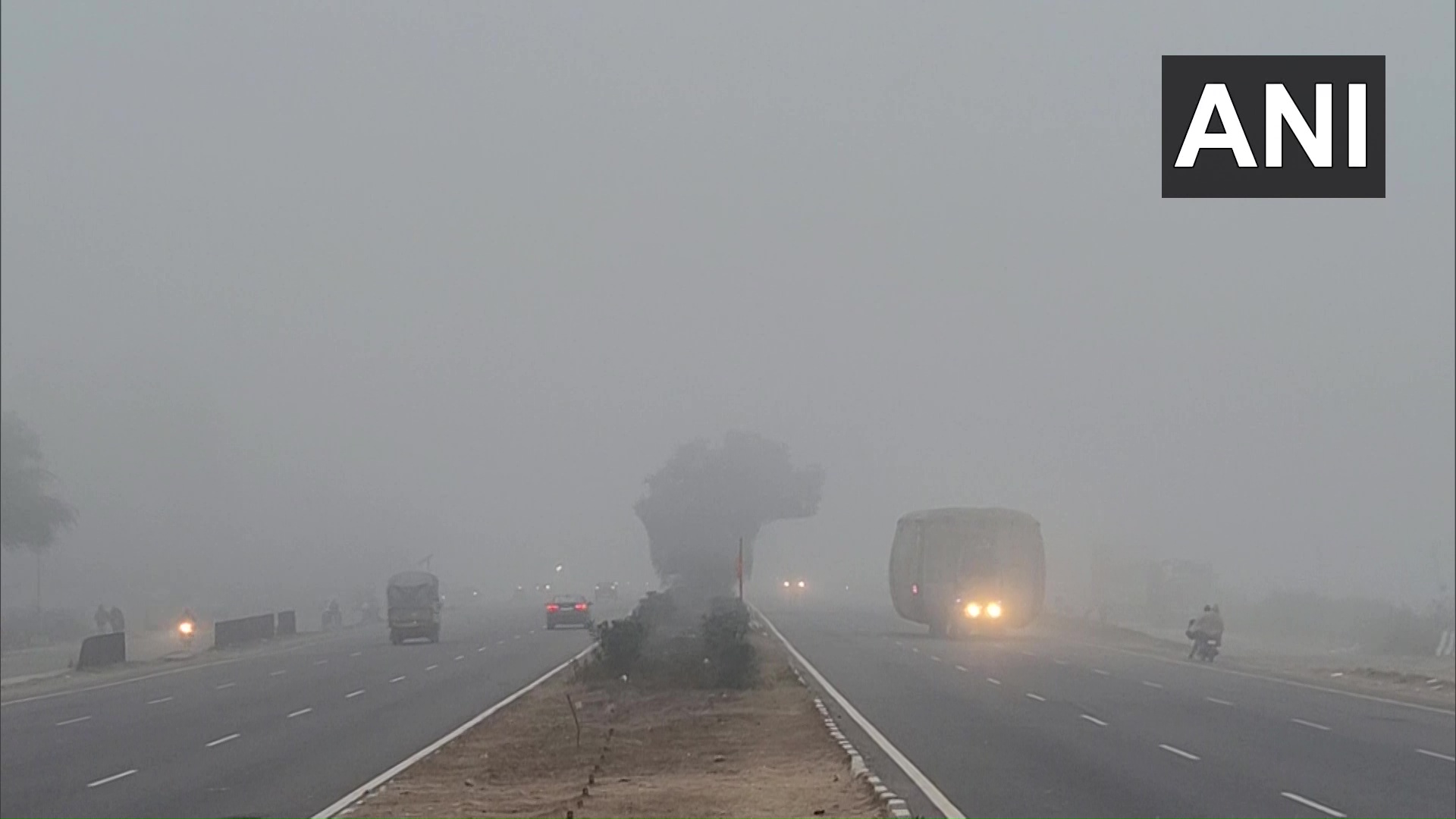 Dense fog engulfs northern states as cold wave tightens grip