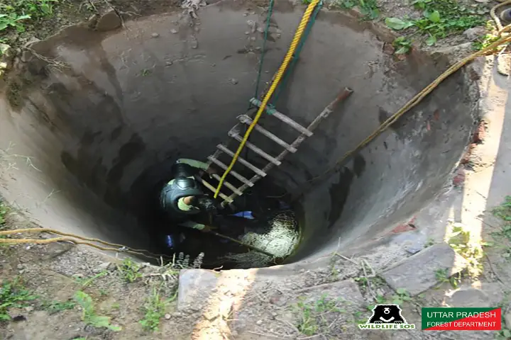 Twenty feet deep well Baghpat