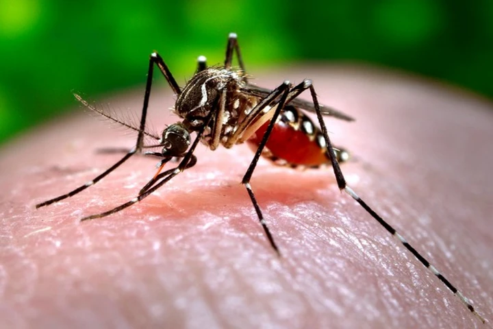 5-year-old girl tests positive for Zika virus in Karnataka