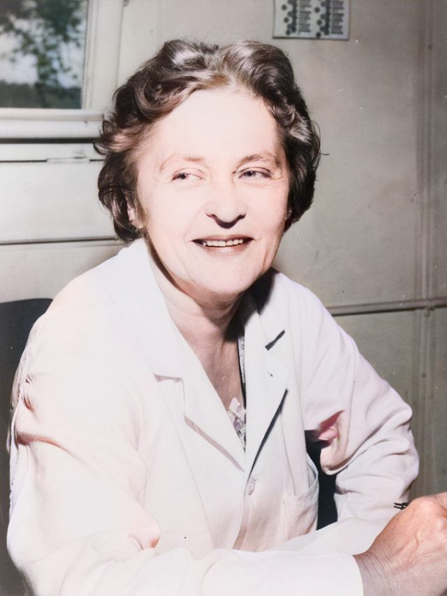 Dr. Maria Telkes, The ‘Sun Queen’, Celebrated By Google Doodle