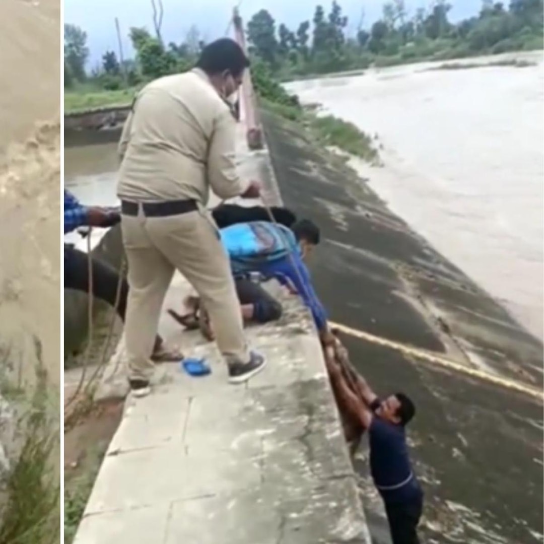 Viral video: Man rescues dog stranded amid gushing water in dam