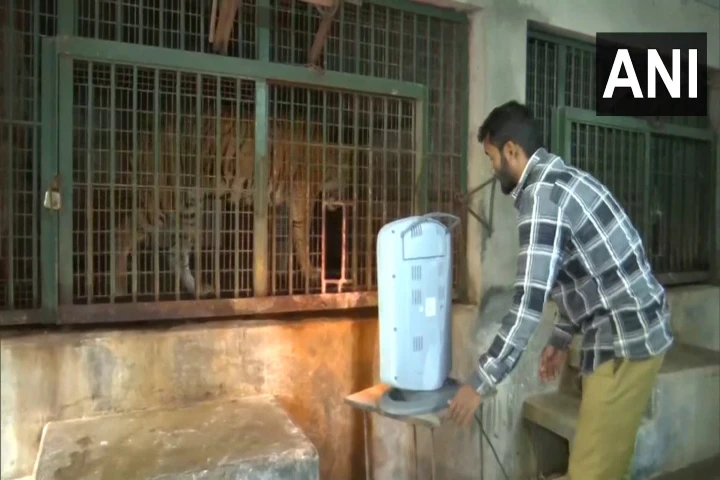 Zoos in Assam, Gujarat and Odisha take steps keep animals warm amid winter chill