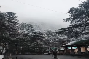Season’s first snowfall in Shimla cheers tourists