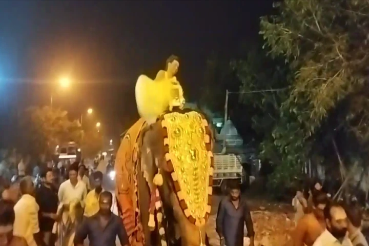 Tamil Nadu devotees celebrate elephant’s 50th year at temple